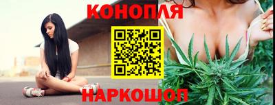 ешки Славгород