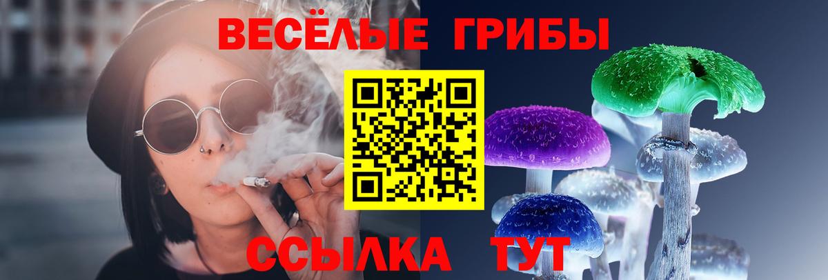 Псилоцибиновые грибы ЛСД Муравленко